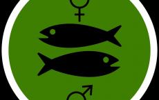 双鱼座男性的性格特点及其表现方式